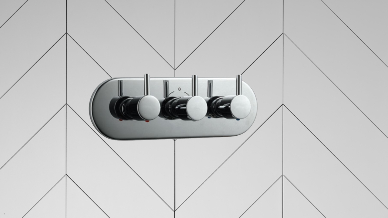 Diverter and Shower Valve
